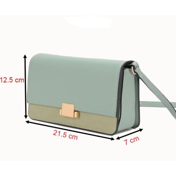 mini buckle bag