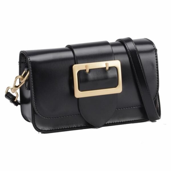 metallic buckle crossbody bag