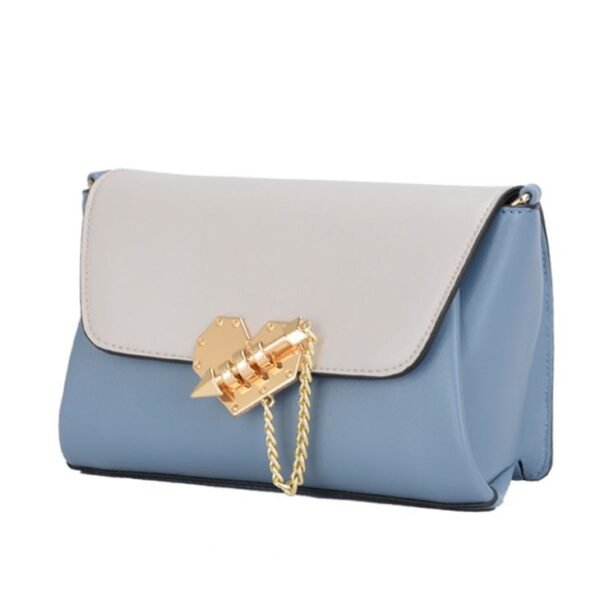 gold buckle bag